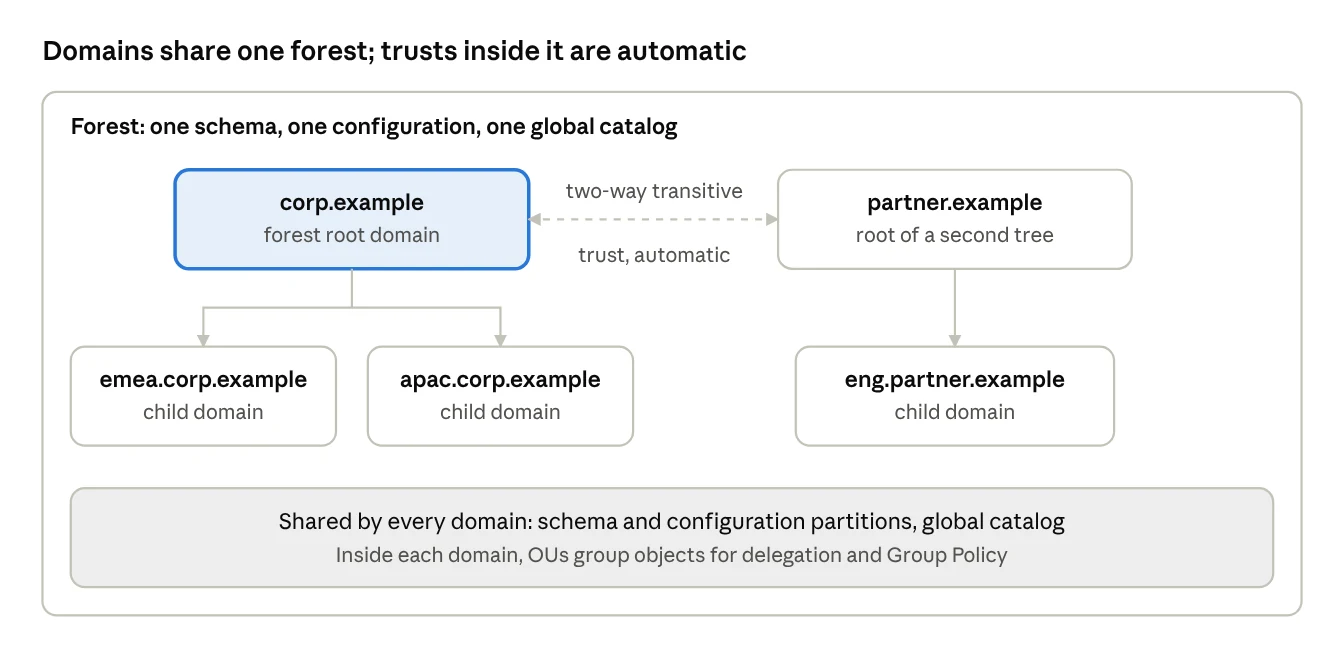 forest, trees, domains and shared partitions