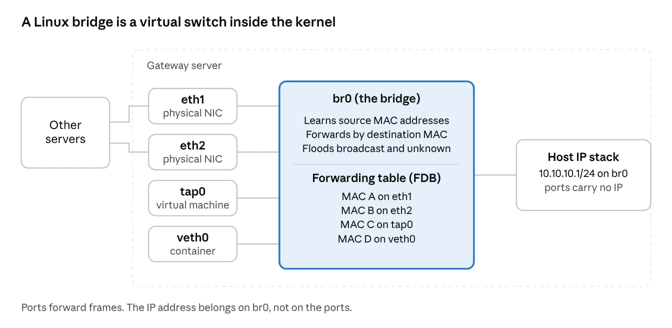 anatomy of a Linux bridge · 4 ports, 1 forwarding table